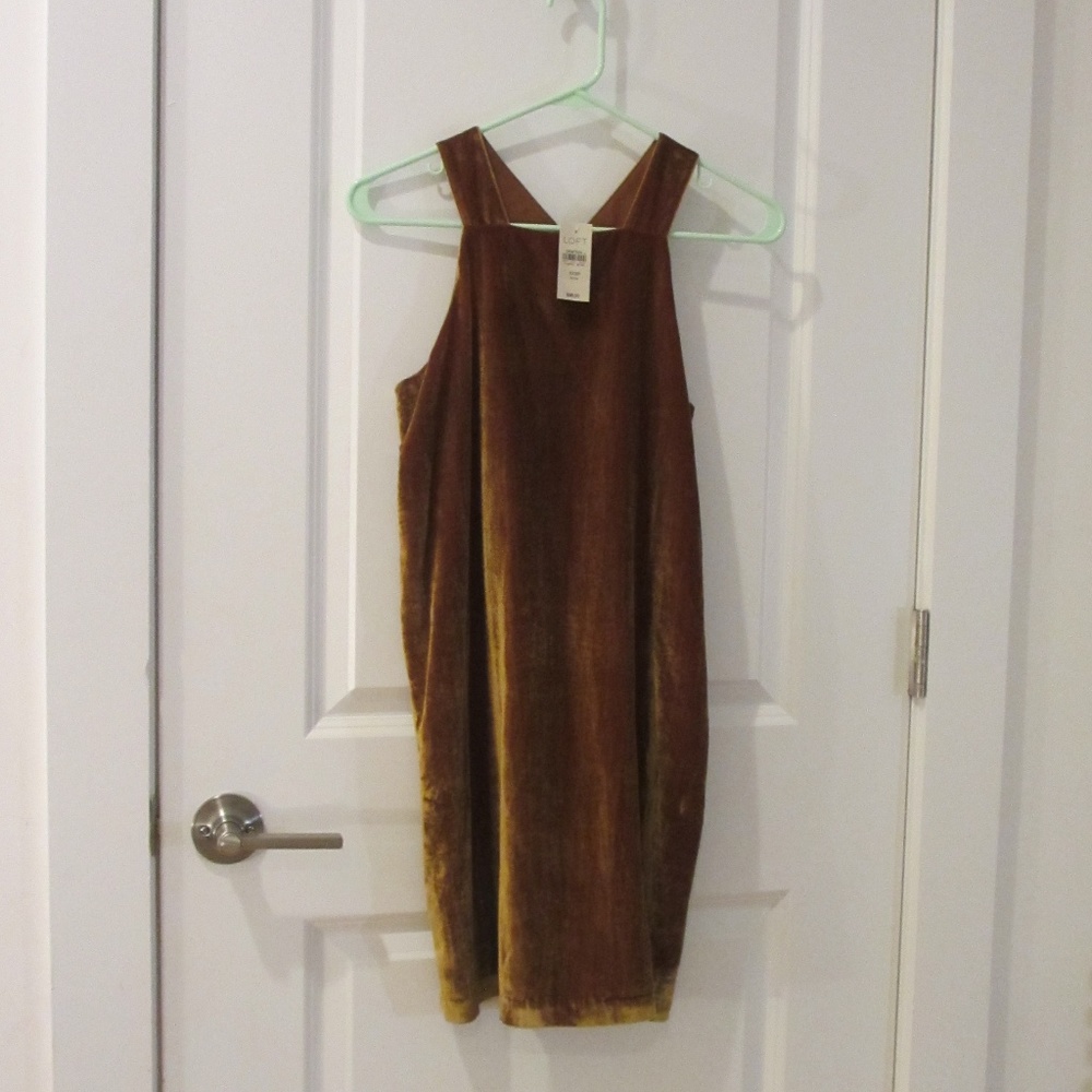 Velvet LOFT Dress